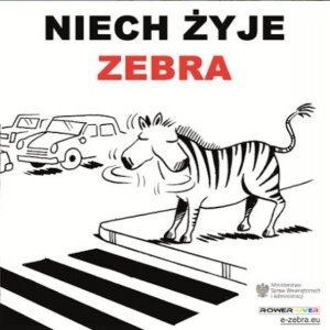 Zdjecie